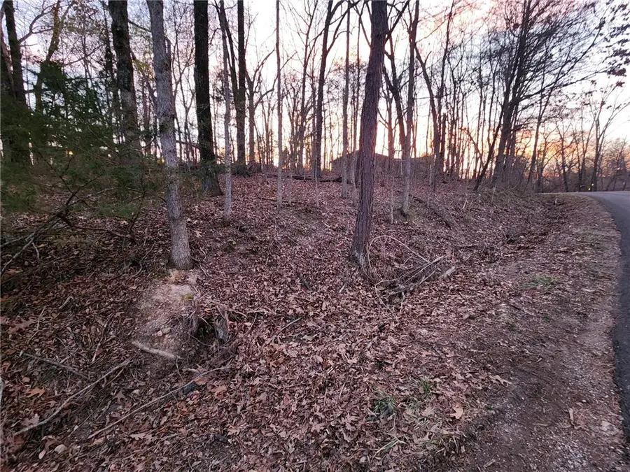 Lot 14 Heanor Lane, Bella Vista, AR 72714 - #2