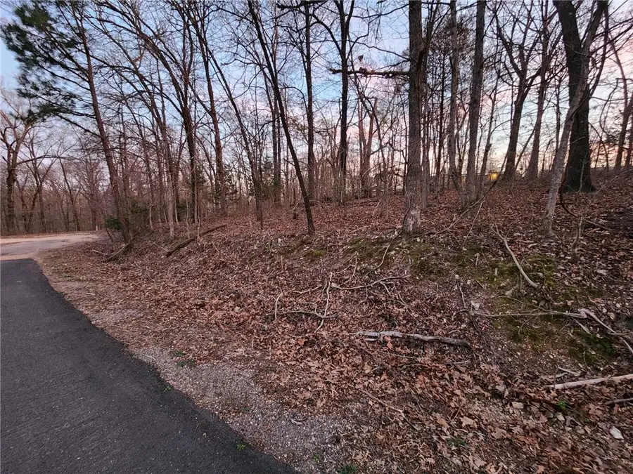 Lot 14 Heanor Lane, Bella Vista, AR 72714 - #3