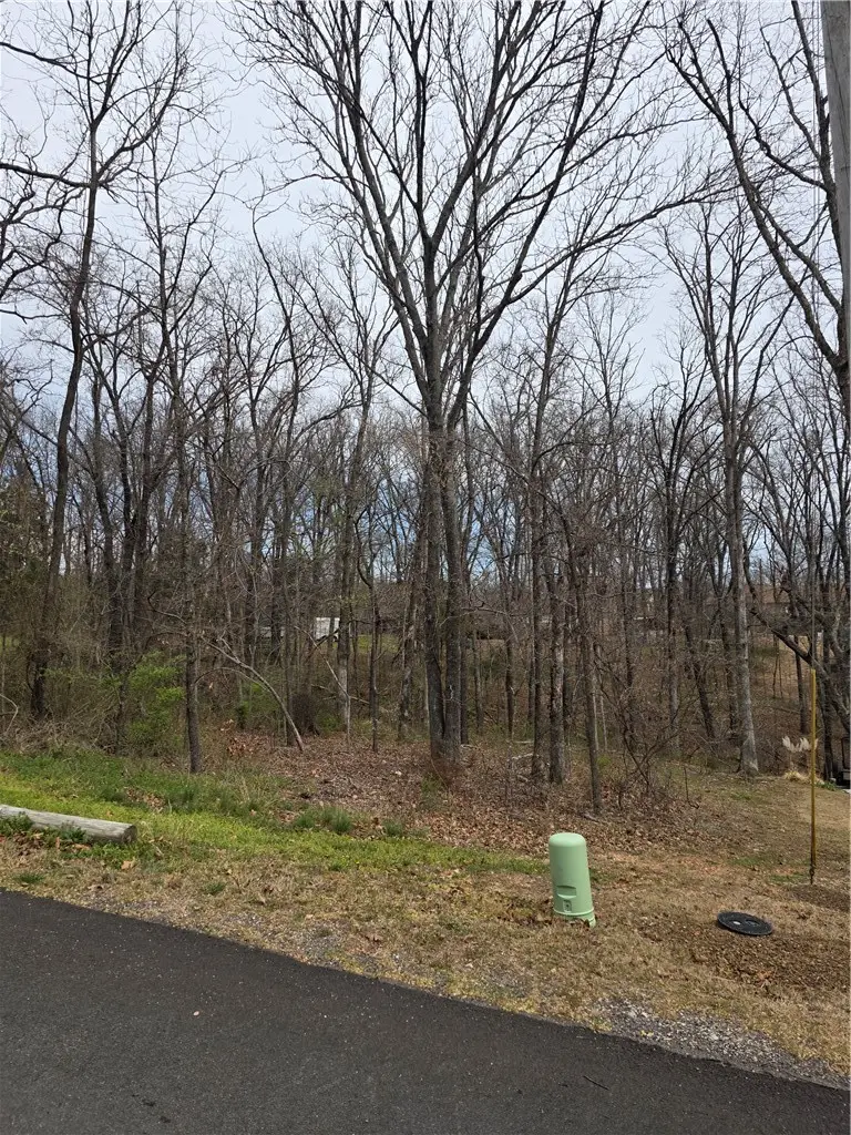 Ravenglass Lane, Bella Vista, AR 72714 - #2