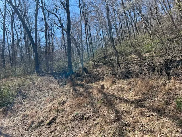 44 Wildcat Drive, Holiday Island, AR 72631 - #2