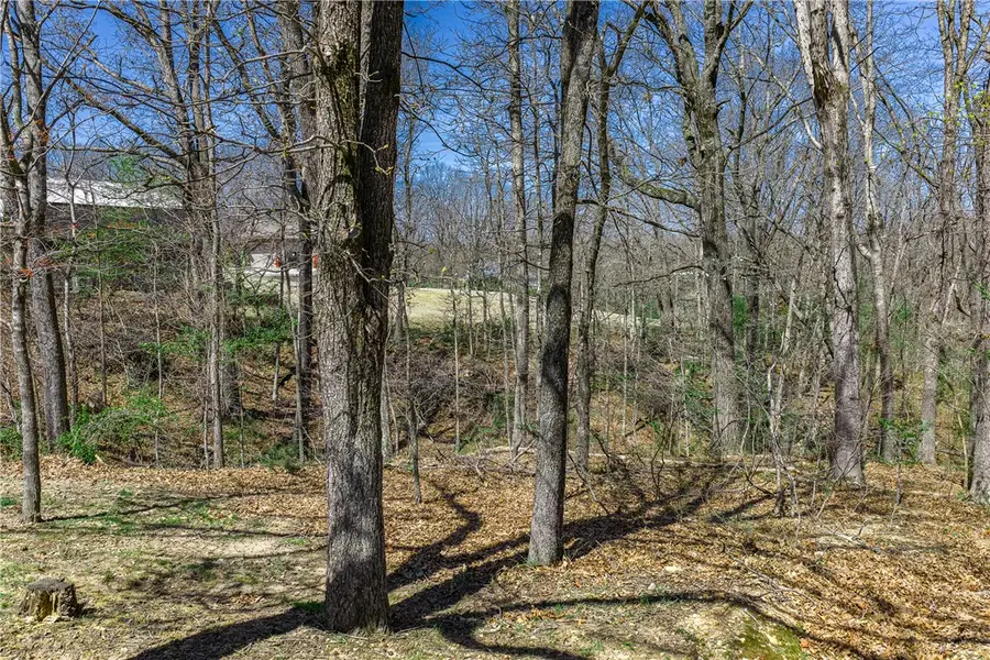 Lot 2 Askew Lane, Bella Vista, AR 72714 - #3