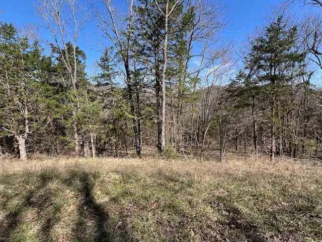 14 Thunderbird Lane, Holiday Island, AR 72631 - #3