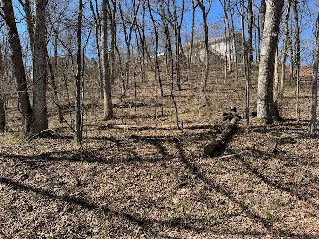 64 Thunderbird Drive, Holiday Island, AR 72631 - #1