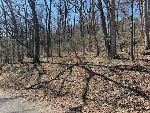 64 Thunderbird Drive, Holiday Island, AR 72631 - #3