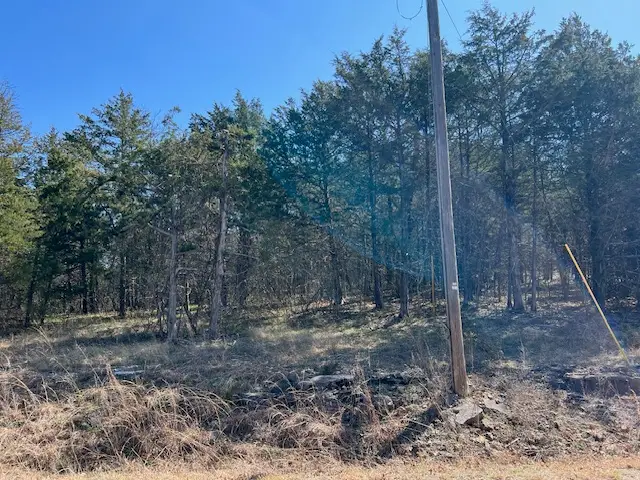 96 Valley Drive, Holiday Island, AR 72631 - #2