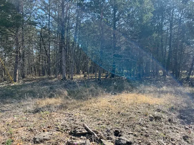 96 Valley Drive, Holiday Island, AR 72631 - #3