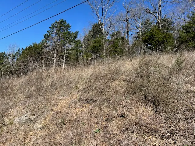 225 Stateline Drive, Holiday Island, AR 72631 - #3