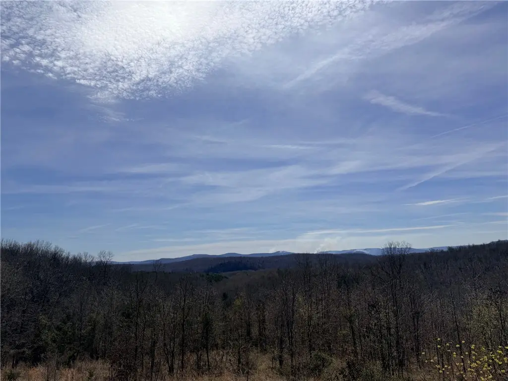 000 Able Drive, Saint Joe, AR 72675 - #1