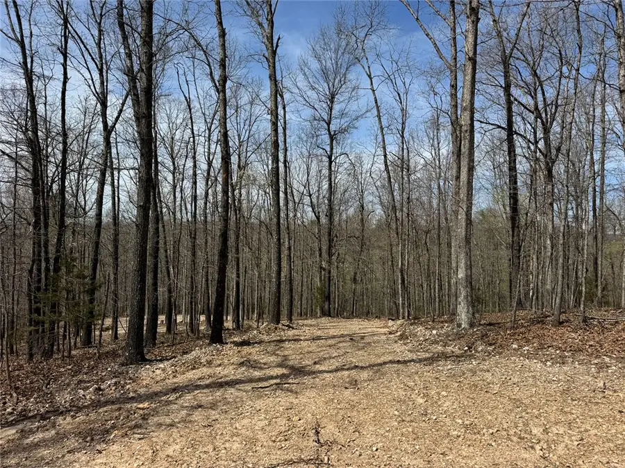 TBD2 Hwy 123, Hasty, AR 72640 - #3