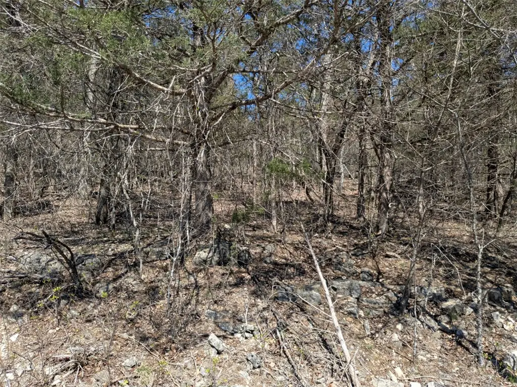 TBD Cottonwood Lane, Holiday Island, AR 72631 - #1