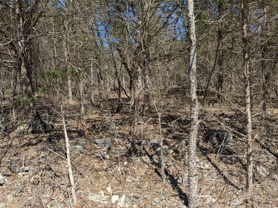 TBD Cottonwood Lane, Holiday Island, AR 72631 - #2