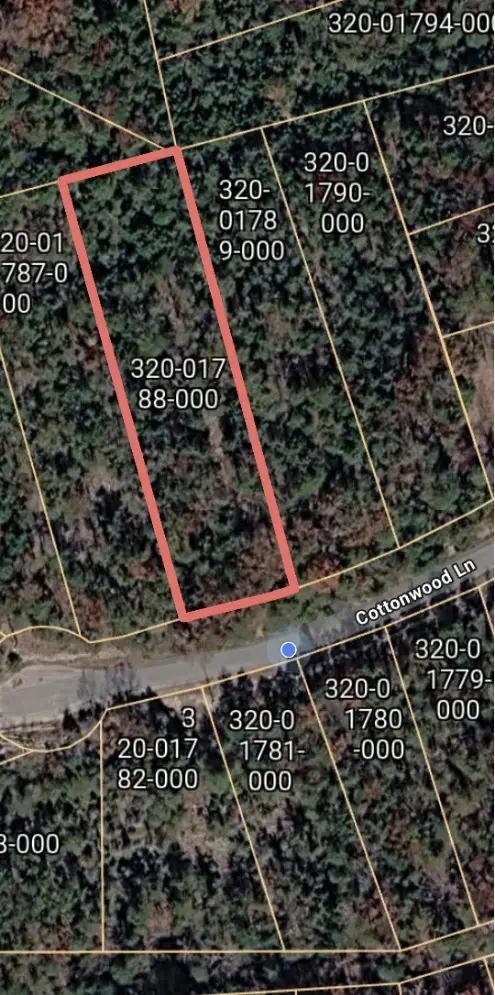 TBD Cottonwood Lane, Holiday Island, AR 72631 - #3