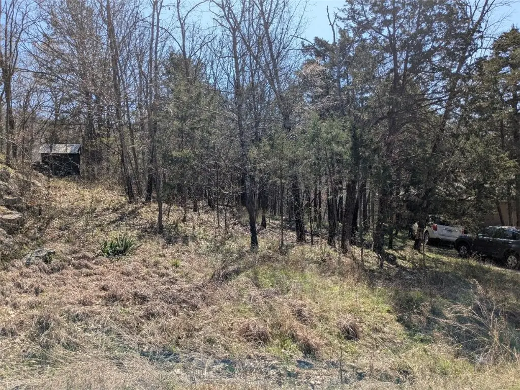 TBD Leatherwood Drive, Holiday Island, AR 72631 - #1