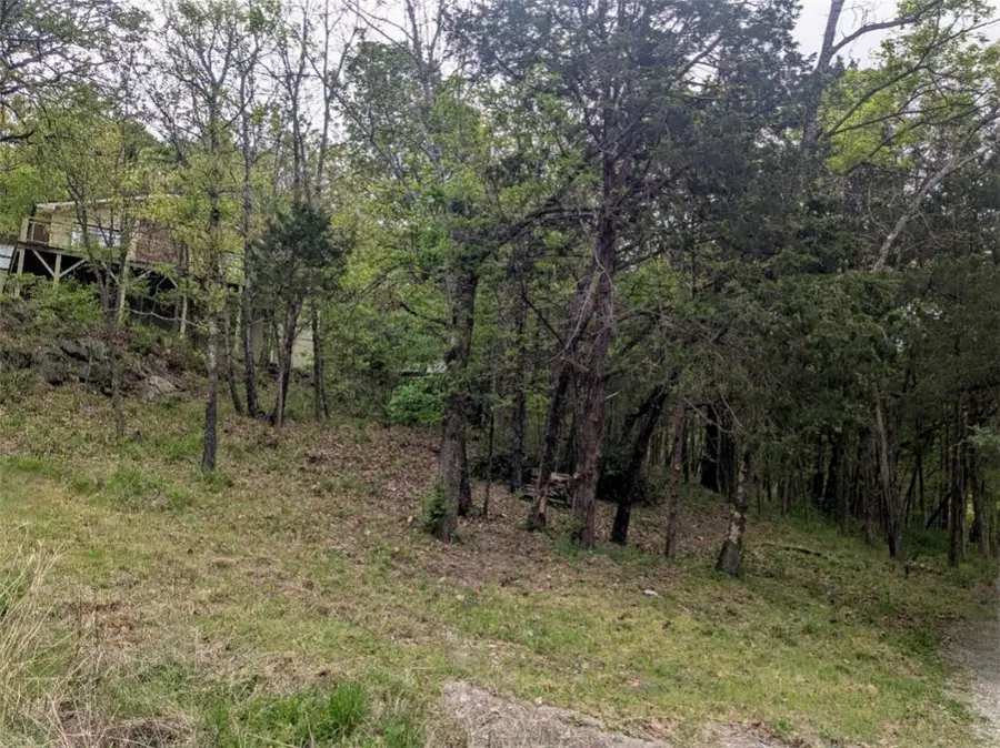 TBD Leatherwood Drive, Holiday Island, AR 72631 - #3
