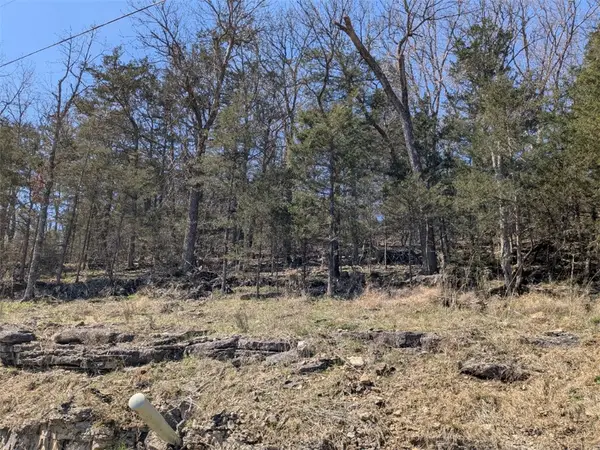 TBD Oakpoint Lane, Holiday Island, AR 72631