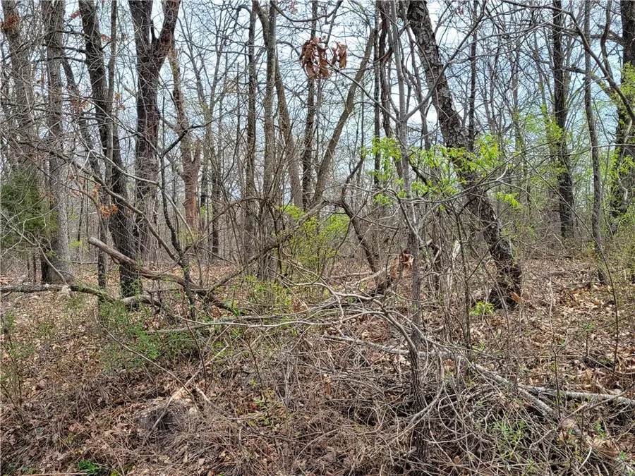 Lot5 Kinross Drive, Bella Vista, AR 72715 - #2