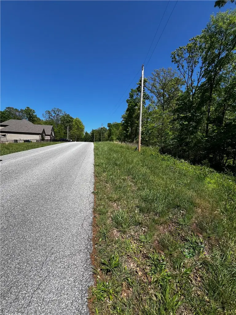 Lot 10 Block 1 Ingleborough Drive, Bella Vista, AR 72715 - #3