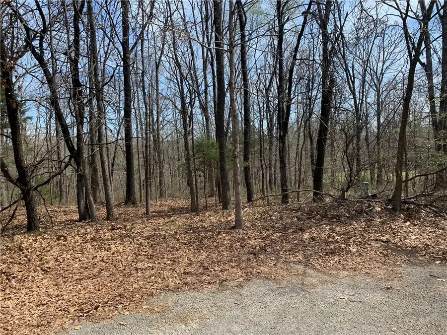 (Lot 2&3) Barr Circle, Bella Vista, AR 72715 - #3