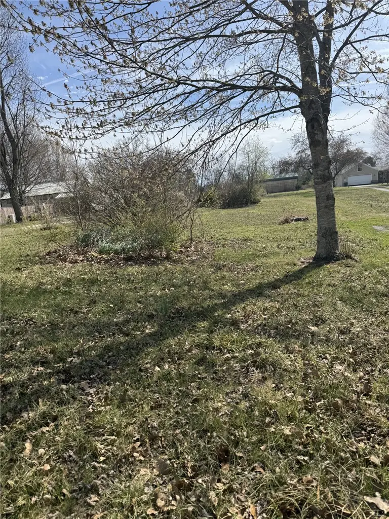 000 Rolling Hills, Seligman, MO 65745 - #3