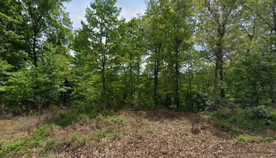 Cawston Drive, Bella Vista, AR 72715 - #2