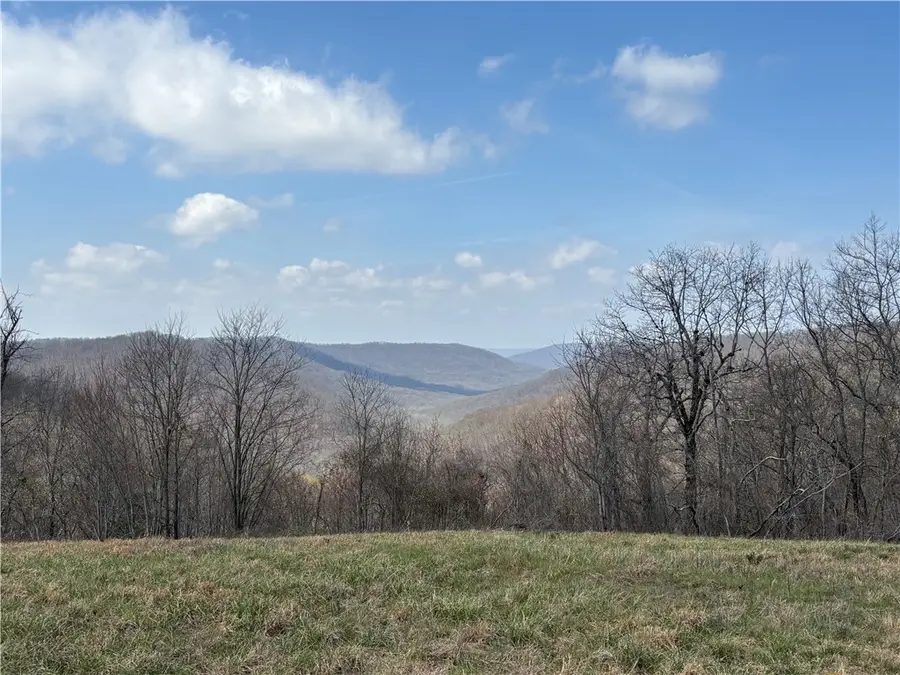 001 Bidville Road, Winslow, AR 72959 - #2