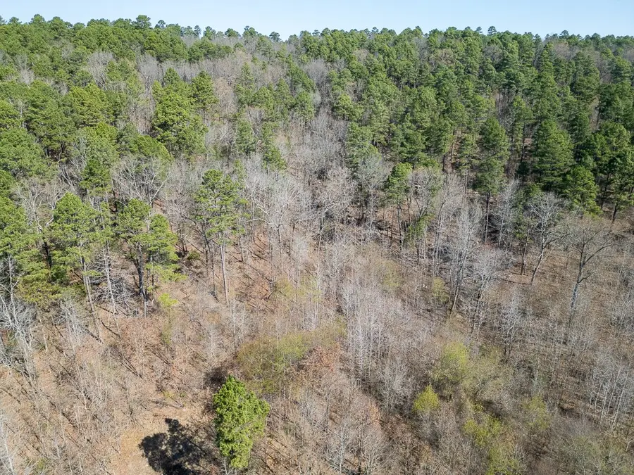 Address Withheld By Seller, Pleasant Plains, AR 72568 - #2