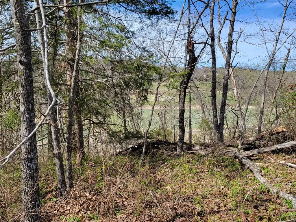 Lot19 Scalloway Drive, Bella Vista, AR 72715 - #1