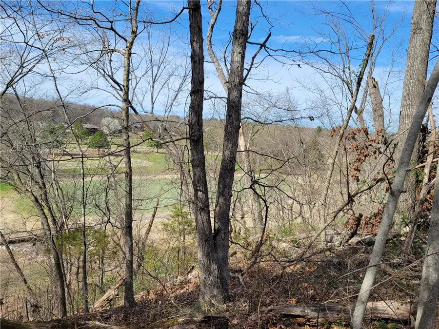 Lot19 Scalloway Drive, Bella Vista, AR 72715 - #2