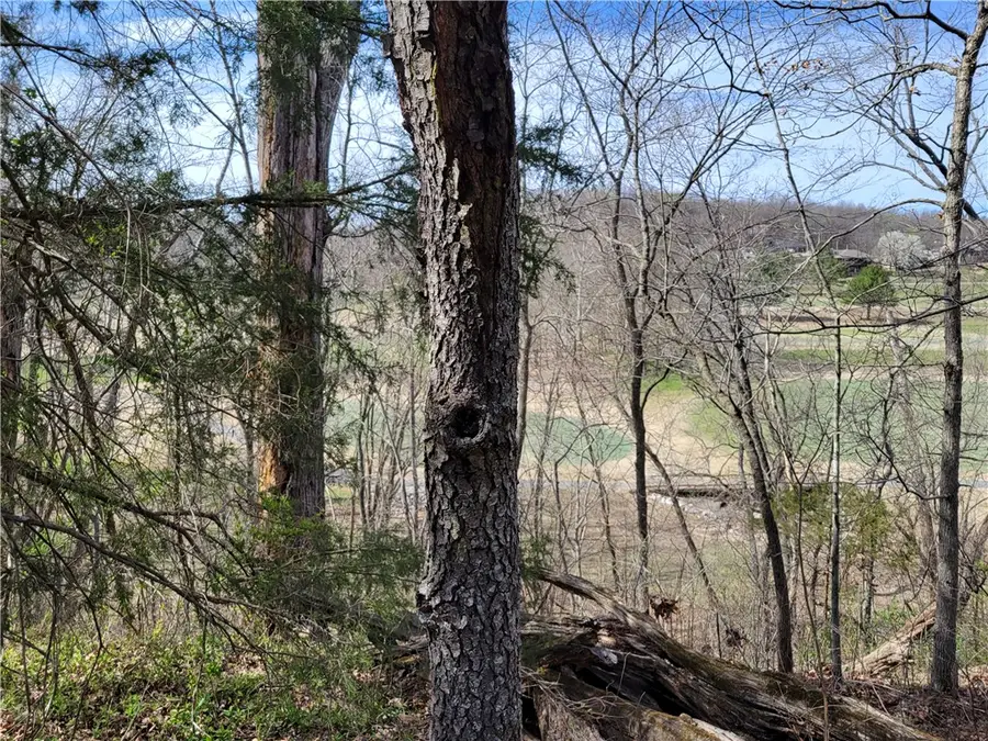 Lot19 Scalloway Drive, Bella Vista, AR 72715 - #3