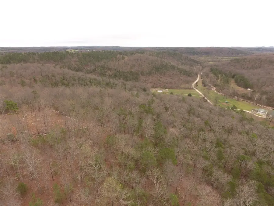 000 County Road 124, Calico Rock, AR 72519 - #3