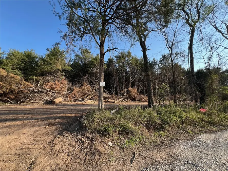 TBD Hammerschmidt Road, Lead Hill, AR 72644 - #2