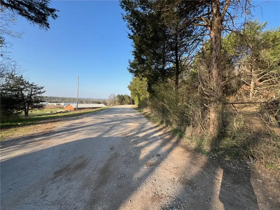 TBD Hammerschmidt Road, Lead Hill, AR 72644 - #3