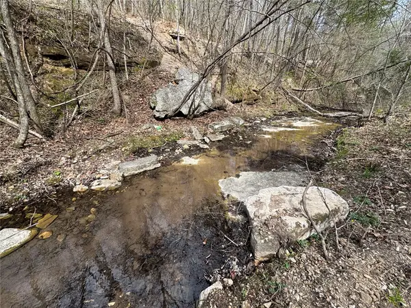 Tract 1 Nc 3015, Jasper, AR 72641