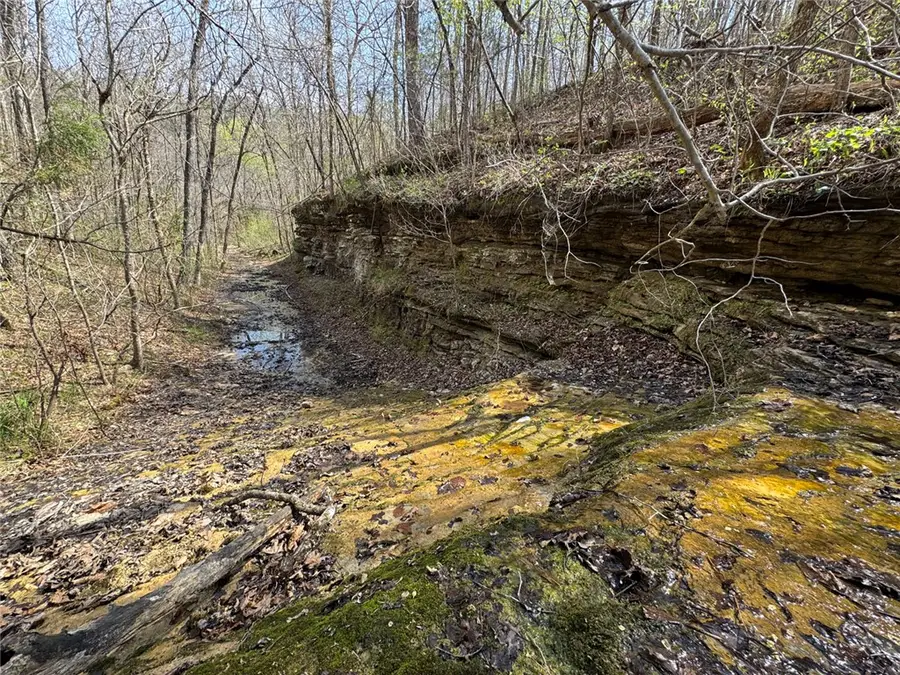 Tract 1 Nc 3015, Jasper, AR 72641 - #2