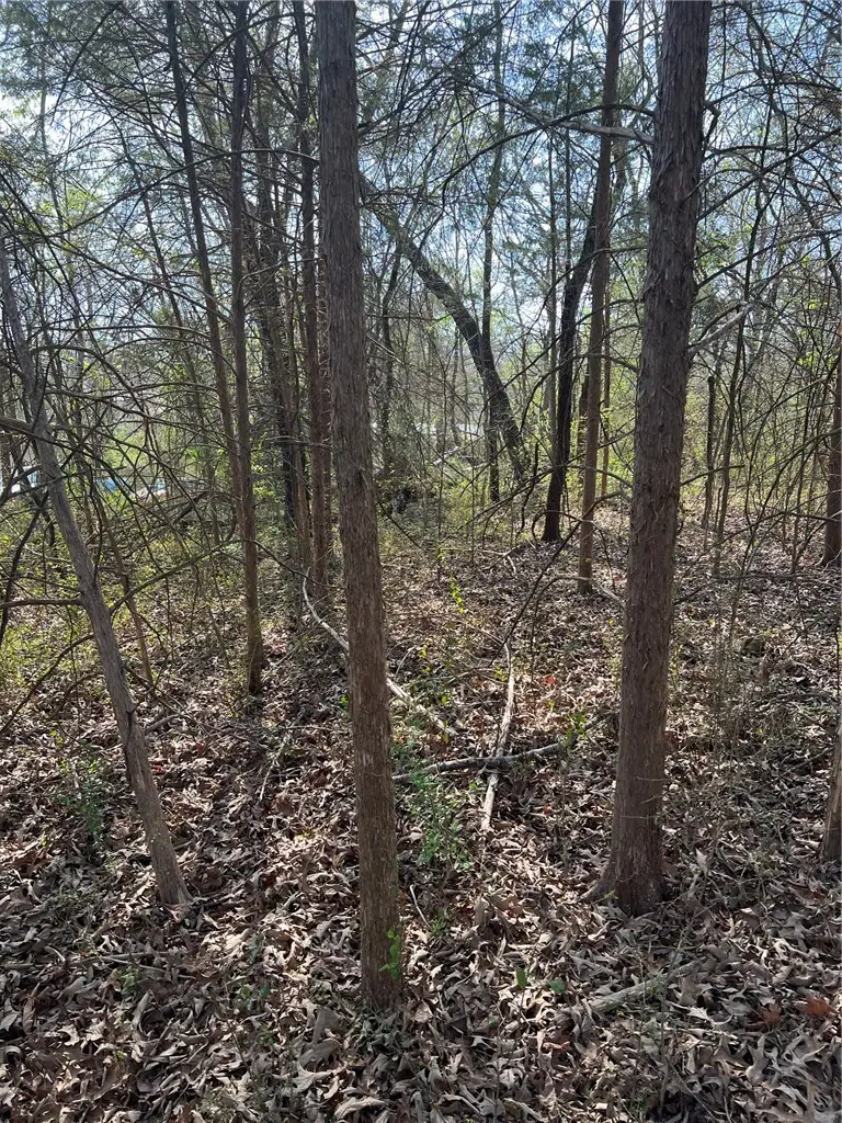 TBD Emanuel Street, Yellville, AR 72687 - #2