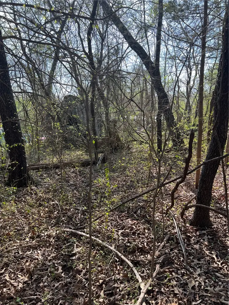 TBD Emanuel Street, Yellville, AR 72687 - #3