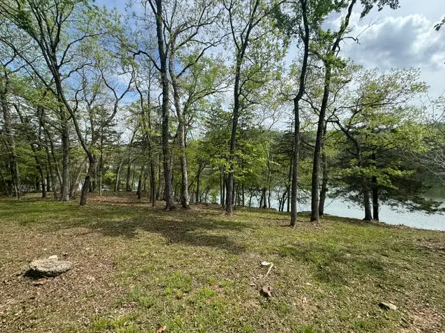 Doral Lane, Holiday Island, AR 72631 - #3