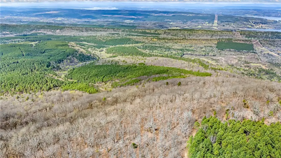 40 Acres, Dardanelle, AR 72834 - #3