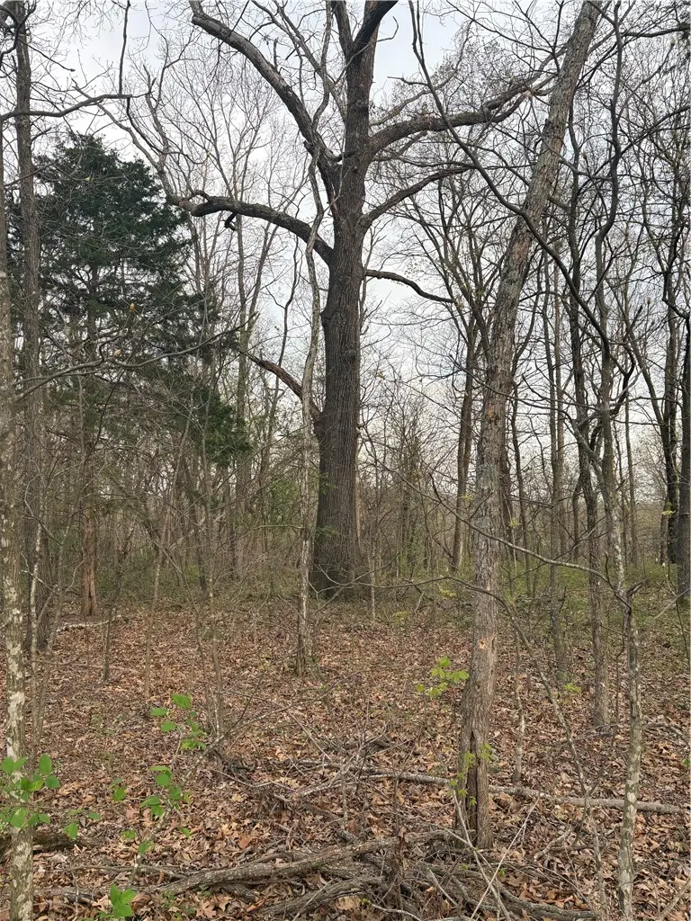 Lots 166 and 167 Huckleberry Circle #7-RURBAN, Rogers, AR 72756 - #2