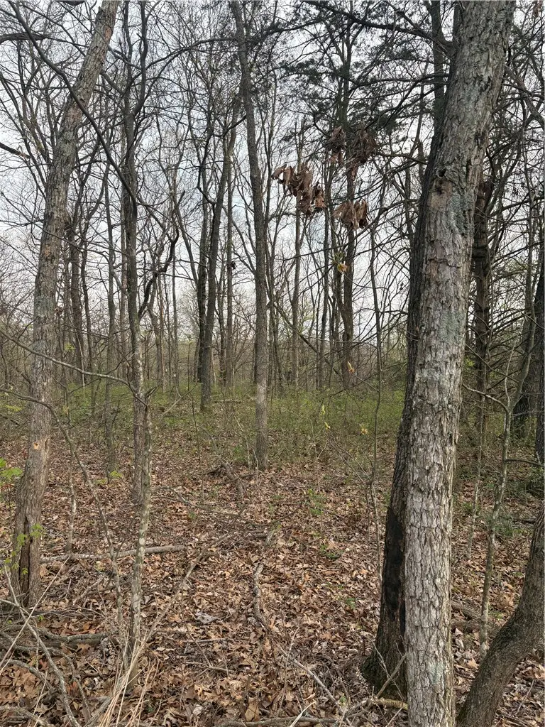 Lots 166 and 167 Huckleberry Circle #7-RURBAN, Rogers, AR 72756 - #3