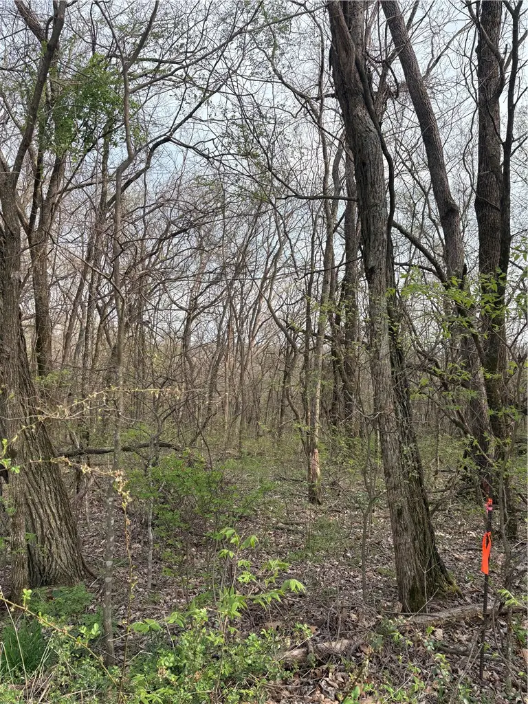 Lots 169, 170, 171 Huckleberry Circle #7-RURBAN, Rogers, AR 72732 - #1