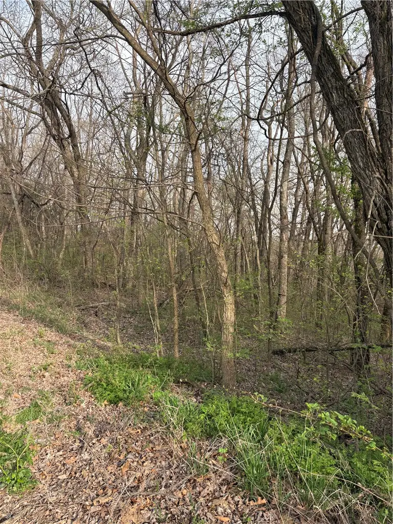 Lots 169, 170, 171 Huckleberry Circle #7-RURBAN, Rogers, AR 72732 - #2