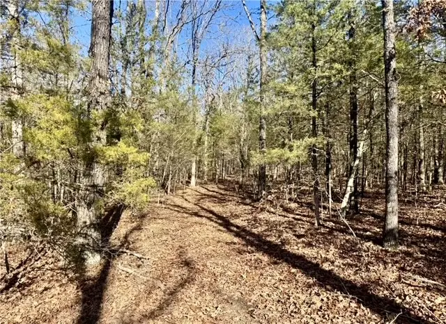 Zachary Trail, Rudy, AR 72952 - #2