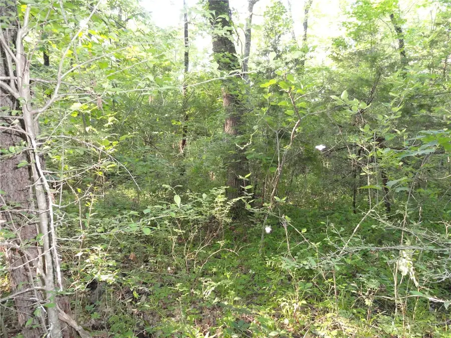 168 Reflections Drive, Marshall, AR 72650 - #3