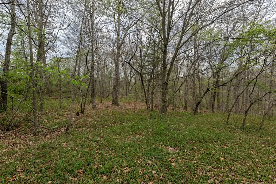 Lot 11 and 12 Irene Lane, Bella Vista, AR 72715 - #2