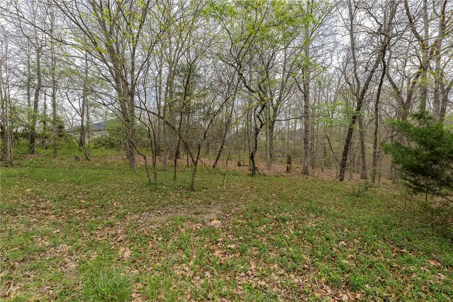 Lot 11 and 12 Irene Lane, Bella Vista, AR 72715 - #3