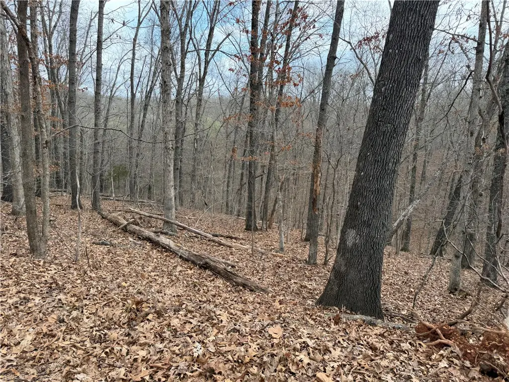 Celtic Drive, Bella Vista, AR 72714 - #1