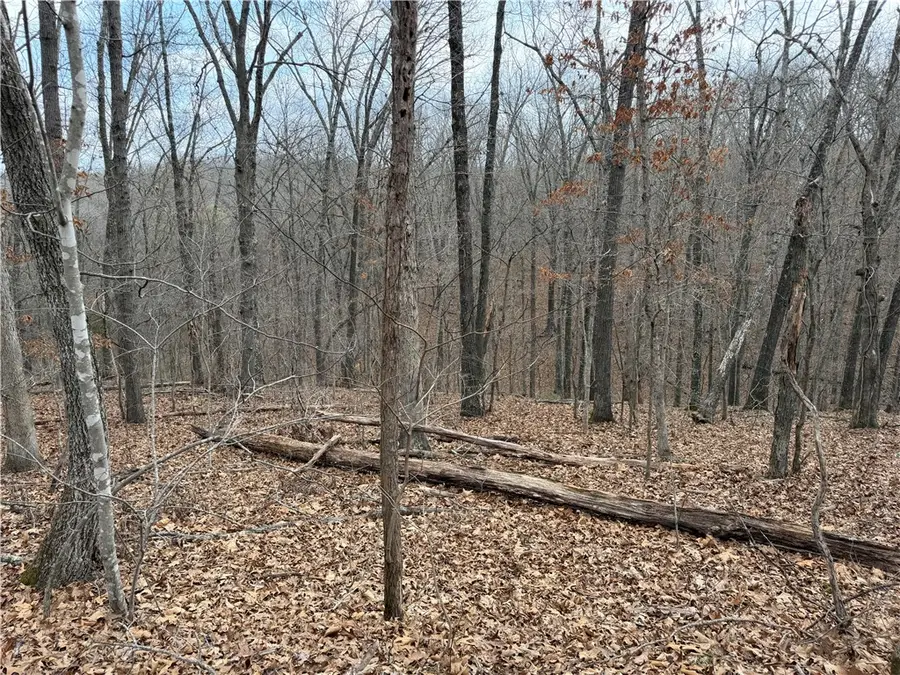 Celtic Drive, Bella Vista, AR 72714 - #3