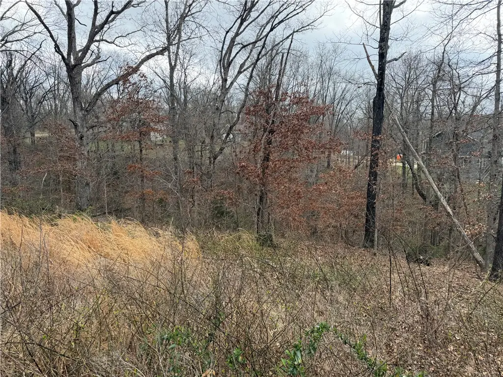 Ludborough Lane, Bella Vista, AR 72715 - #1