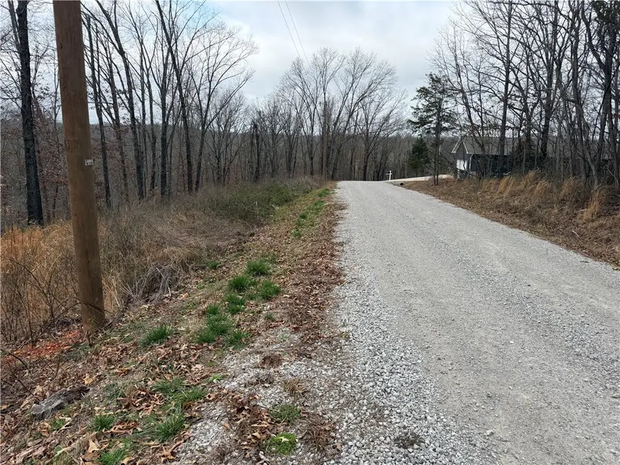 Ludborough Lane, Bella Vista, AR 72715 - #3